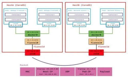 一文读懂容器网络发展 从单机互联到云原生网络架构的演进之路